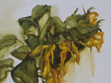  Sunflower Study   2013   oil on board    30x24cm