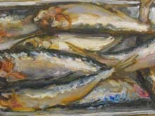 Tin of Sardines 2010 46x24cm